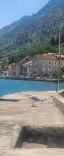 Villa Kotor Air - 8