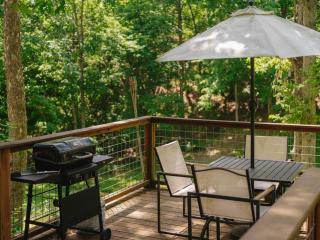 Big Pine Holler-1 Mi to Beaver Lake-Cabin-Hot Tub - Rambo Riviera - 8