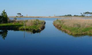 Anchor road 91 - Rehoboth Beach - 9