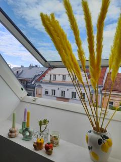 Apartment with a terrace - Vienne - 3