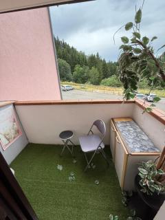 Studio à la montagne meublé et entièrement équipé - Bellevaux - 1