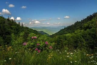 Big Bear #4004 - Pigeon Forge - 9