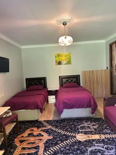 Sultan Cafe bungalov - Çaykara - 6