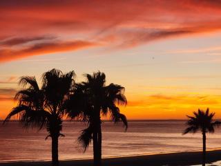 Princesa De Penasco - Puerto Peñasco - 4