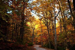Mountain View Condos #3505 - Pigeon Forge - 8