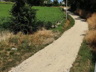 La Graule Farmhouse Self Contained Appartment - Saint-Colomb-de-Lauzun - 6