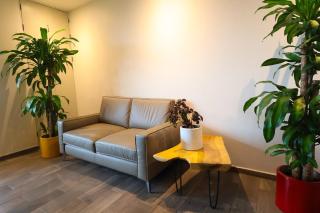 Tu Casita Centrico Sur - Mexico City - 7