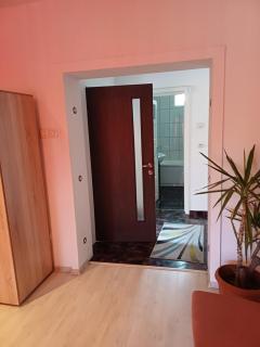 Apartament cu terasa la casa Valentin - Timişoara - 9