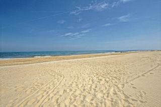 The crest 204 - Rehoboth Beach - 6