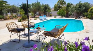 Luxury villa Espera Lagonisi with private pool - Kalívia Thorikoú - 0