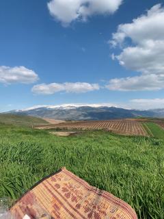 Gal Banof - Misgav ‘Am - 1