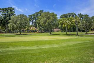 173 Twin Oaks at The Sea Pines Resort - Hilton Head Island - 3