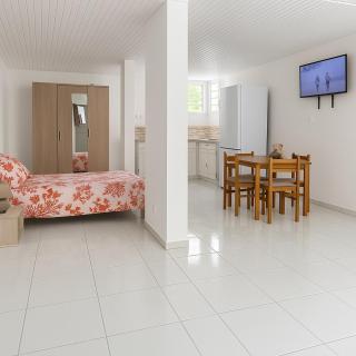 Grand studio lumineux - Le François - 2