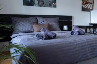 Central Studio by Museum and Old Town - Praag - 3