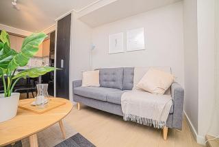 Comfortable Apartment in the Heart of Providencia - Santiago - 5