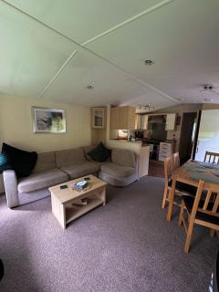 Moselle - Squirrel View - Ballantrae - 7