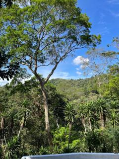 A place to enjoy nature - - 4