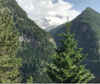 Appartement Beau-Soleil avec vue sur le glacier des Grands - Finhaut - 9