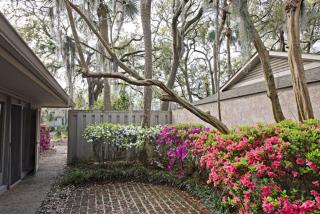 306 Beach Lagoon at The Sea Pines Resort - Hilton Head Island - 6
