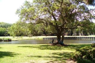 306 Beach Lagoon at The Sea Pines Resort - Hilton Head Island - 4