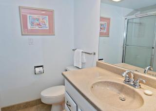 298 Stoney Creek Villa at The Sea Pines Resort - Hilton Head Island - 6