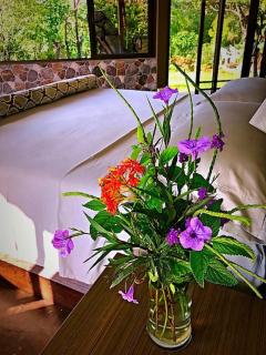 Secluded Riverfront Home - Boquete area with Pool - 9