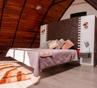 Glamping Pedro 3 - - 4