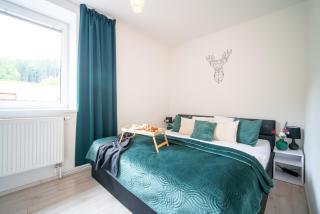 Apartmány New Forest Retreat - u lesa, s parkováním - Jeseník - 8