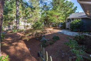 Cedar road 22 - Rehoboth Beach - 6