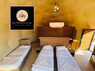 Rum Dreamland luxury camp - Disah - 9