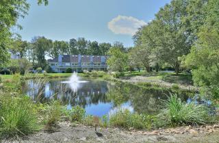 Spring lake 514 - Rehoboth Beach - 2