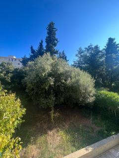 Bilocale Le Furama - Antibes - 9
