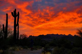 Cline Maricopa - 3