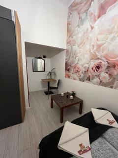 Spring Roses Downtown Boutique Hotel ON THE FAMOUS VÁCI FASHION STREET FREE COFFEE, TEE - Budapest - 9