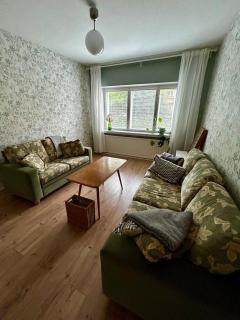The Modern Fifties - - 5