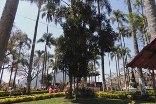 Plaza Real Hotel Boutique - Coscomatepec de Bravo - 4