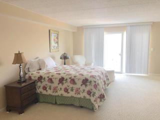 Collins avenue 100 #309 - Dewey Beach - 8