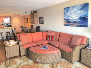 Collins avenue 100 #309 - Dewey Beach - 7