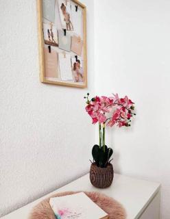 Flair-Apartments 'Apartment nähe Schlosspark', 300 m Bahnhof, Innenstadt Bad Salzuflen Stadtteil Schötmar, für Urlaub oder Geschäftsreise, separater Eingang, 24 Std Check-in,WLAN, Streaming-Fernseher, Küche, Regendusche, Doppelbett, 2 Schlafsofa - 6