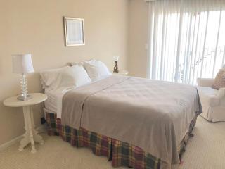 Collins avenue 100 #309 - Dewey Beach - 6