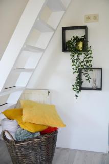 Villa Pluimstaart - Sunclass 55 - 5