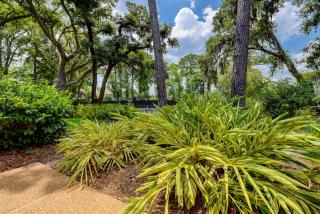 2296 Heritage Villas at The Sea Pines Resort - Hilton Head Island - 7