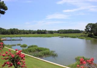 1617 Port Villas at The Sea Pines Resort - Hilton Head Island - 8