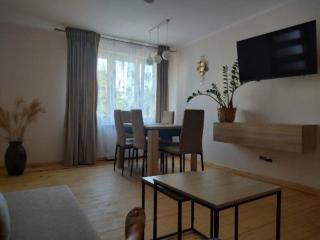 Słoneczny apartament przy Ratuszu - Iława - 3