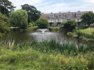 Nell loop 32 - Rehoboth Beach - 6