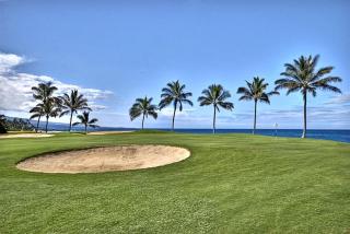 Hali'i Kai at Waikoloa Beach Resort 9F - Waikoloa - 7