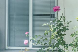 Bright & Cozy Getaway-10min to Downtown LA - 9