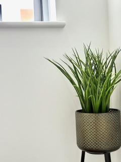 Chic 1-Bed Apartment, Leicester City Centre - Leicester - 6