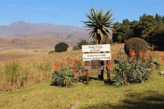 Treks, Trips and Trails - 7