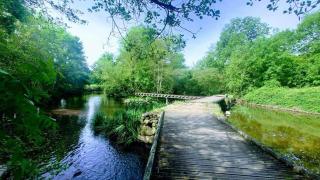 La Surprise d'Elie - La Boissière-des-Landes - 3